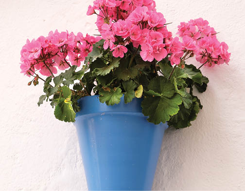Andalucia Spain traditional whitewashed village flower pot wall display