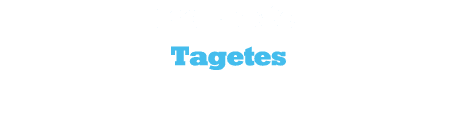 Κατιφές Tagetes