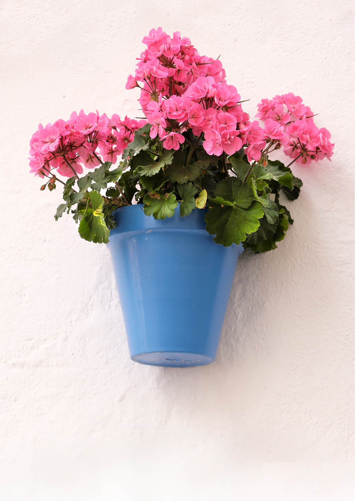 Andalucia Spain traditional whitewashed village flower pot wall display