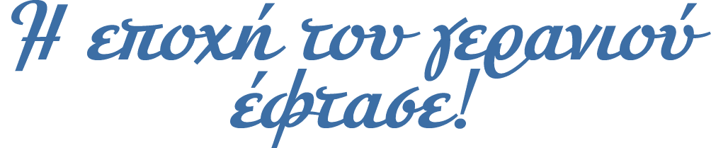 Η εποχή του γερανιού έφτασε! 