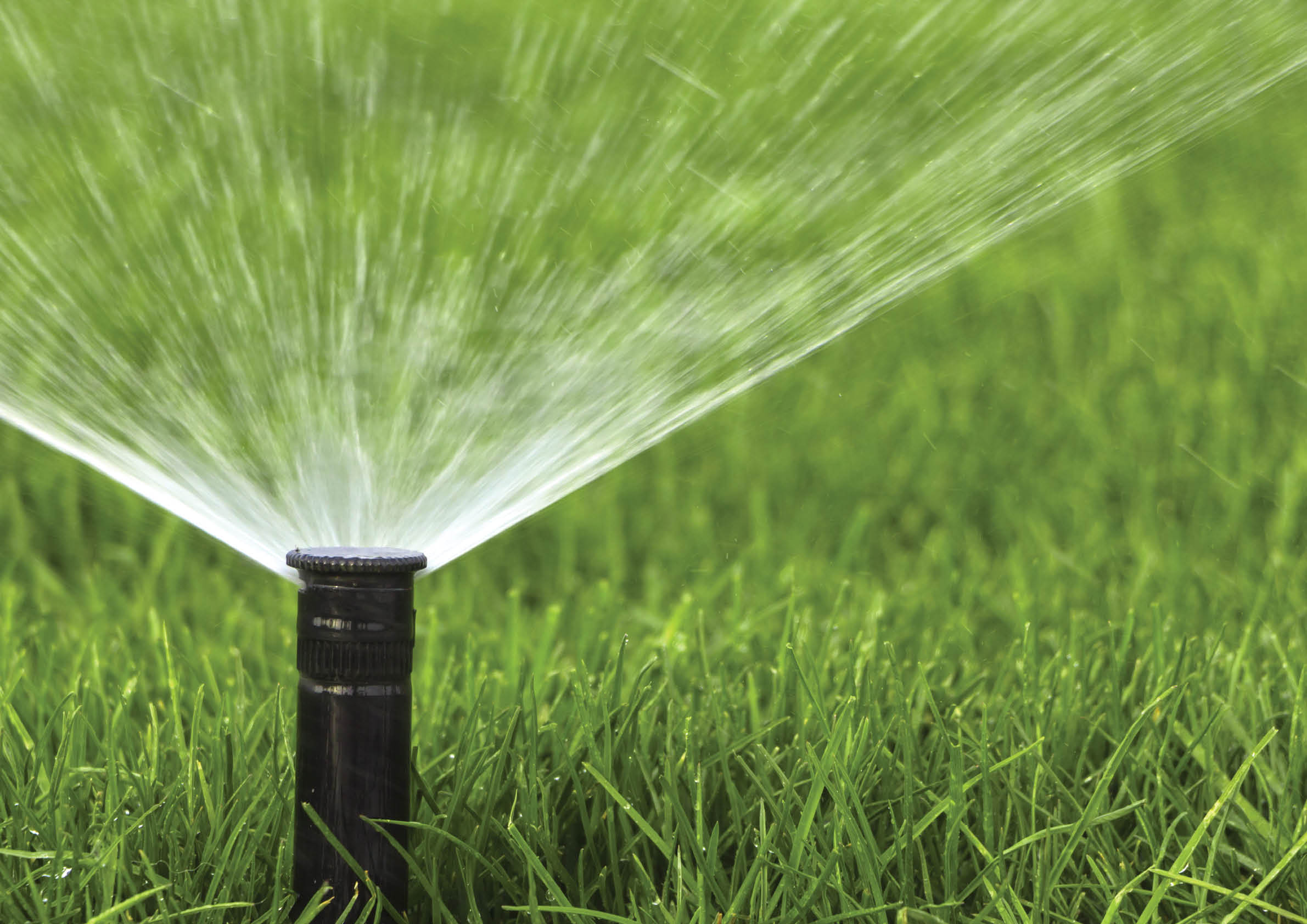 automatic sprinkler system watering the lawn on a background of green grass, close-up