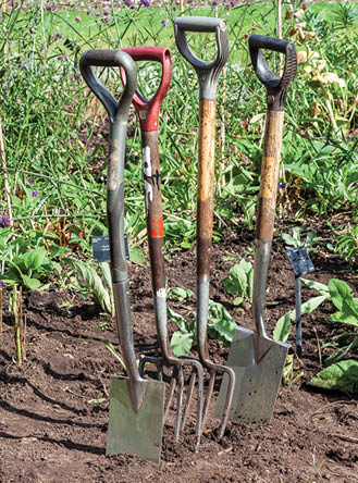 Stainless steel garden pitchfork and spade standing in the garden soil dirt while using the gardening shovel and fork equipment stock photo image