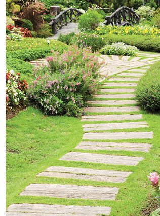 Landscaping in the garden. The path in the garden.