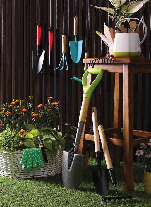 Beautiful plants, gardening tools and accessories on green grass near wood slat wall