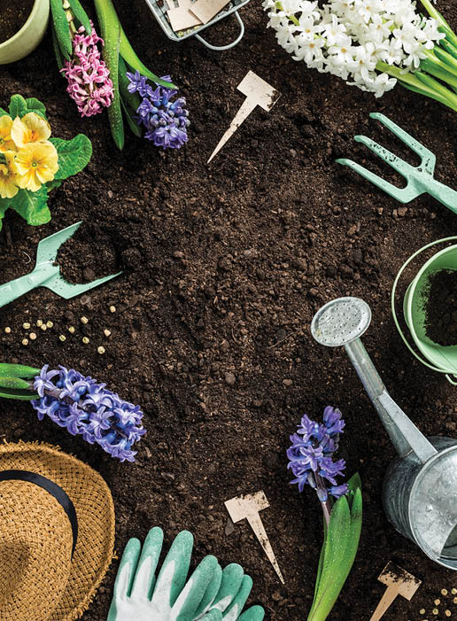 Gardening tools, hyacinth flowers, watering can and straw hat on soil background. Spring garden works concept. Layout with free text space captured from above (top view, flat lay).