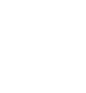 THE VECHRO PAINTS FAMILLY