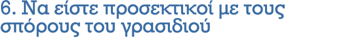 6. Να είστε προσεκτικοί με τους σπόρους του γρασιδιού