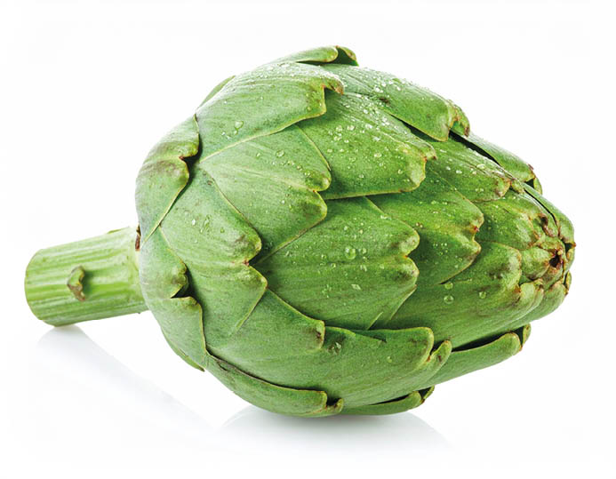 Artichoke with Dew Drops on Isolated White Background