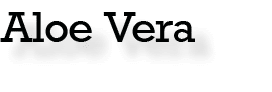 Aloe Vera
