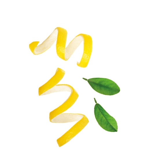 Lemon peel with leaf isolated on white background without a shadow. Healthy food