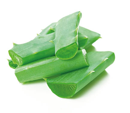aloe vera leaf and slices isolated on white background