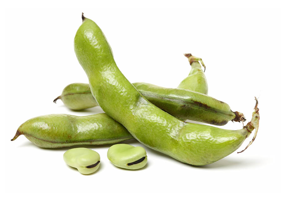 Broad beans on white background