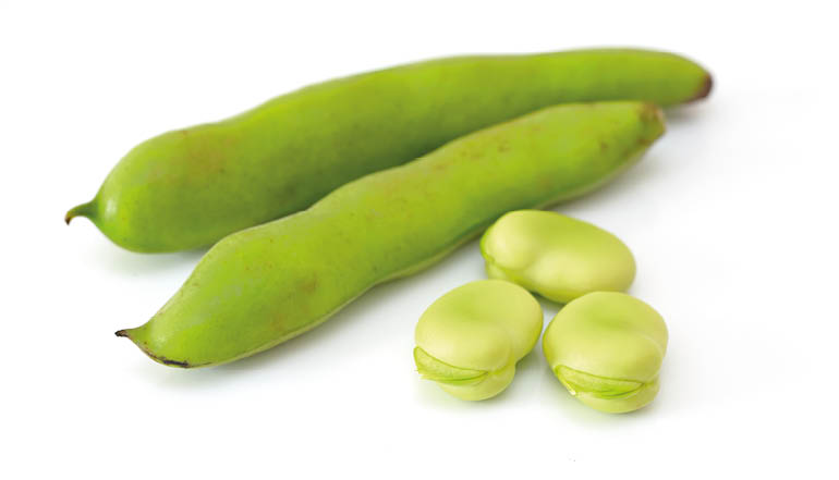 Broad beans