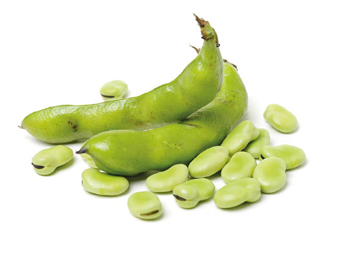 Broad beans on white background