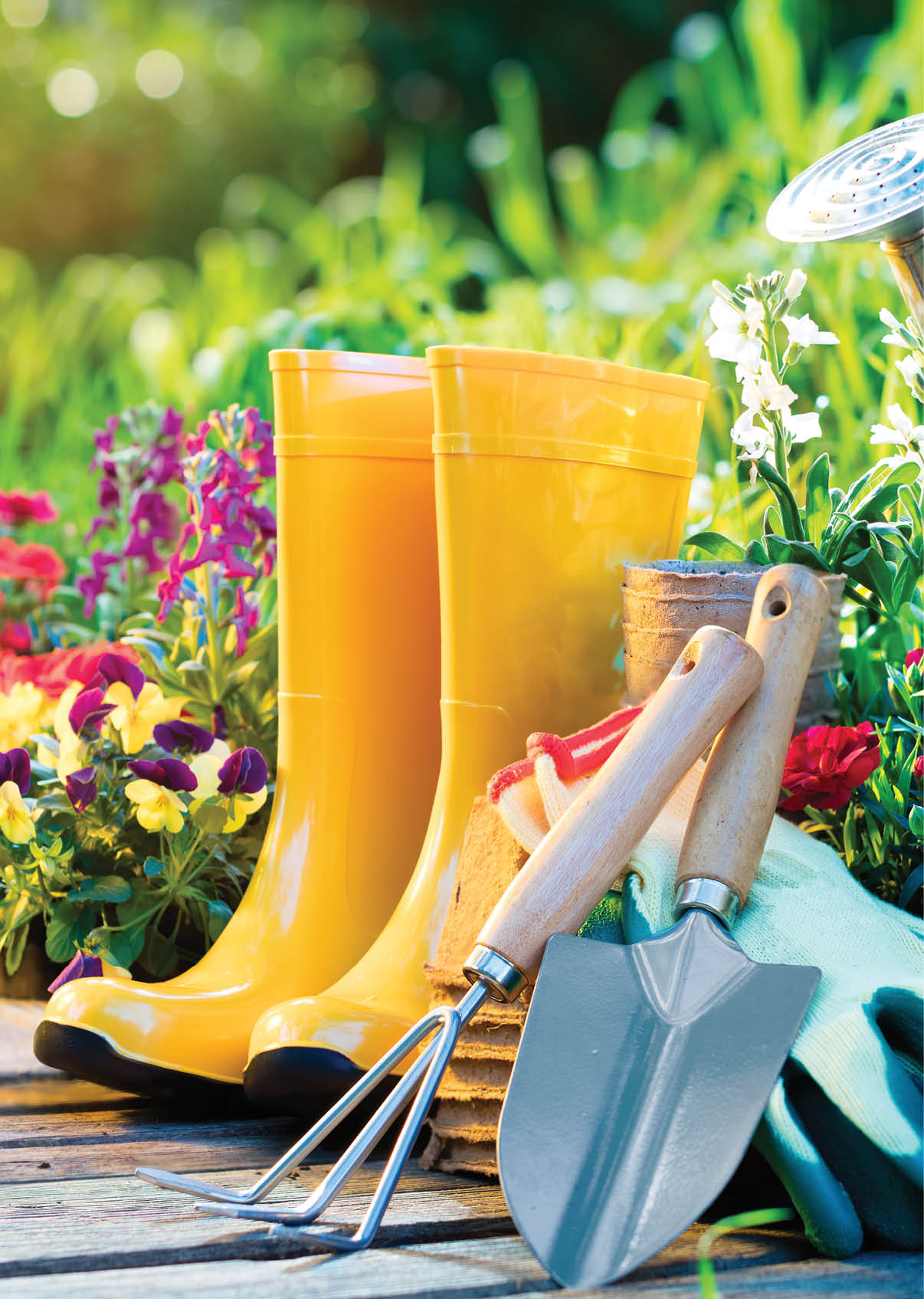 Gardening - Set Of Tools For Gardener And Flowerpots In Sunny Garden
