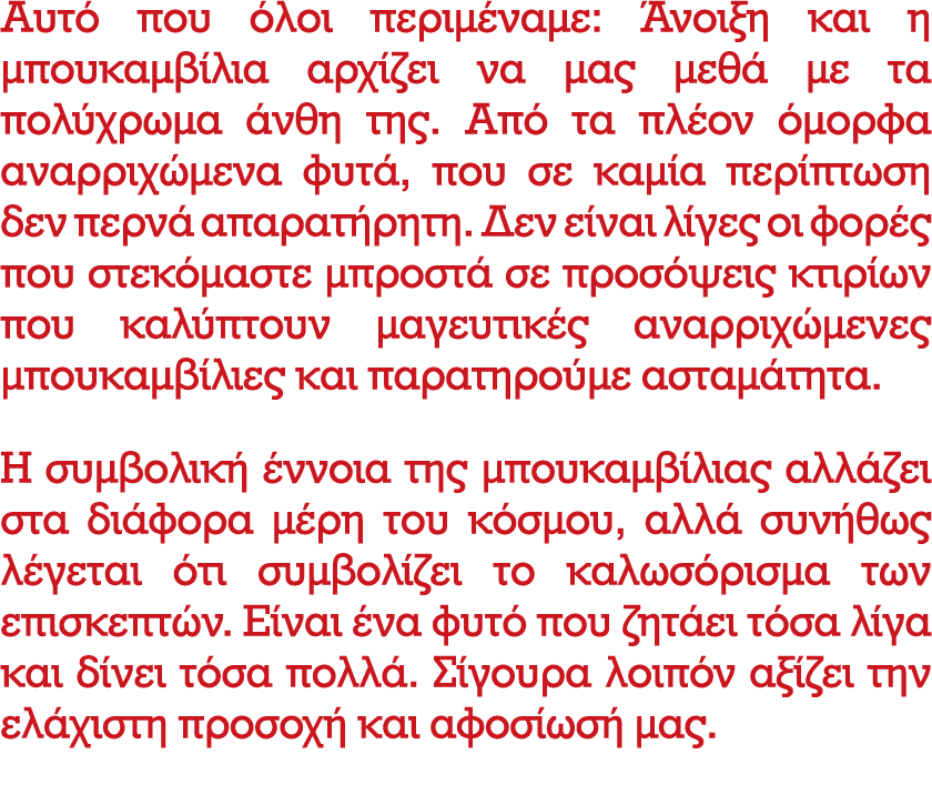 Αυτό που όλοι περιμέναμε: Άνοιξη και η μπουκαμβίλια αρχίζει να μας μεθά με τα πολύχρωμα άνθη της. Από τα πλέον όμορφα...