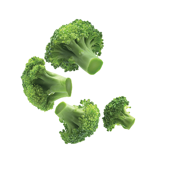 Green broccoli levitating on a white background.