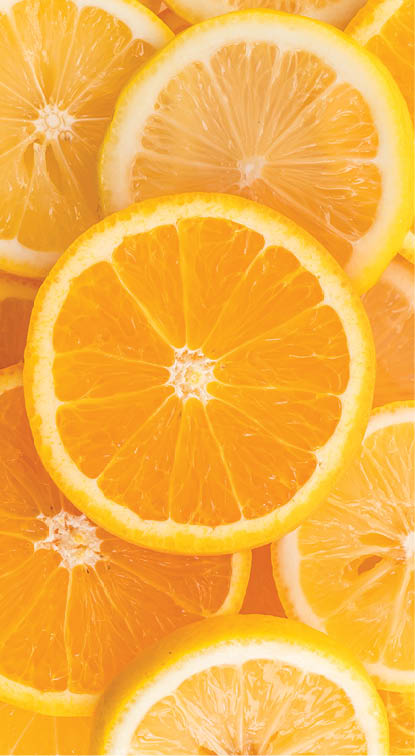 lime, lemon and orange slices