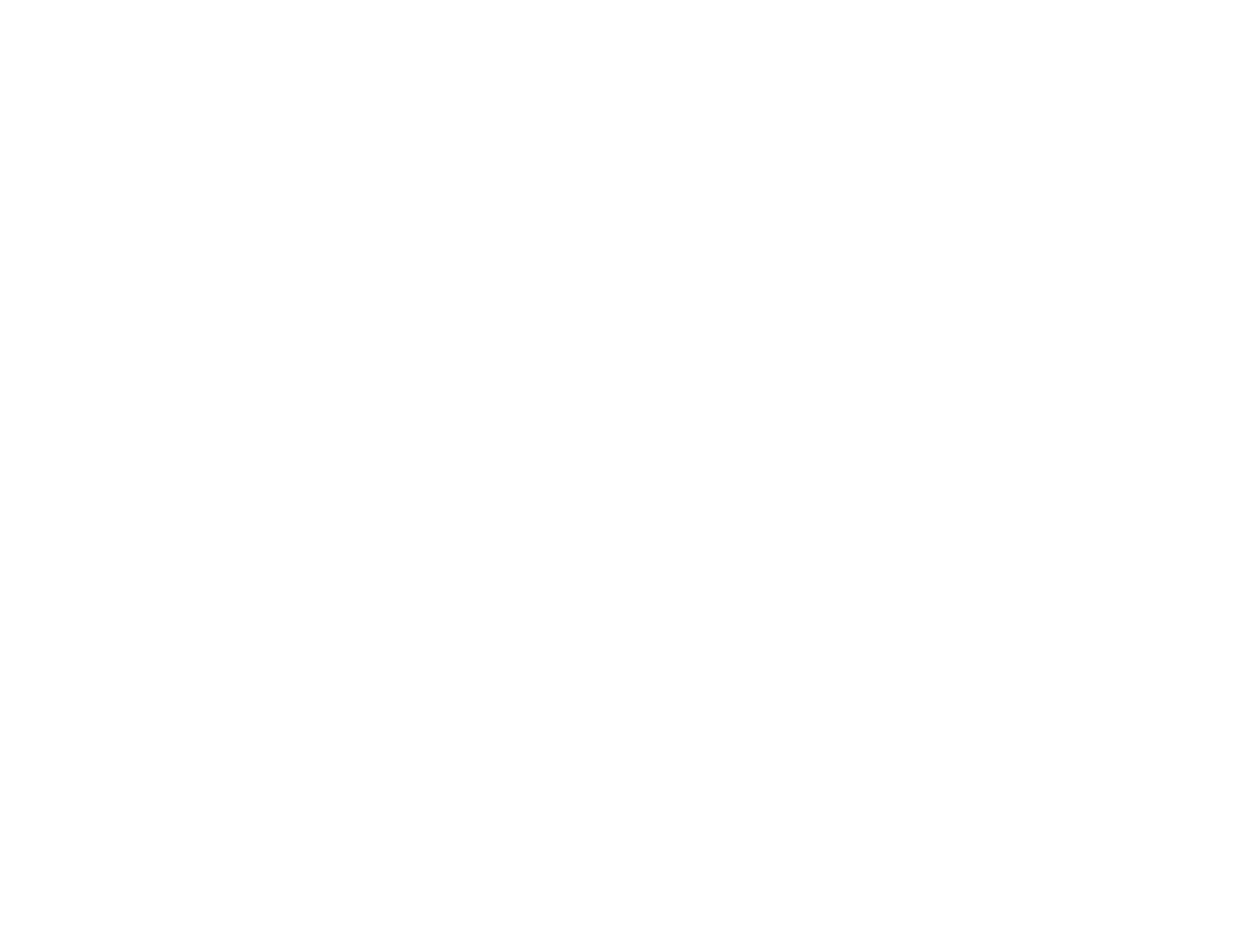  tulip festival in Amsterdam