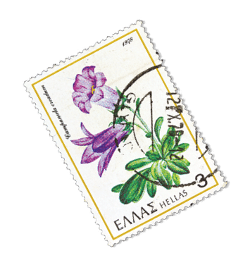 GREECE - CIRCA 1978: A stamp printed in Greece from the “Greek flora" issue shows a Campanula oreadum flower, circa 1978.