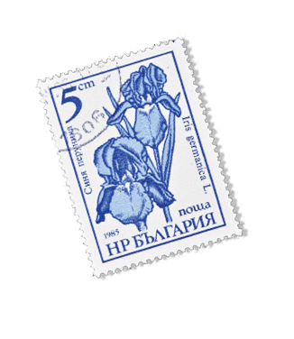 Bulgaria - circa 1985 : Cancelled postage stamp printed by Bulgaria, that shows Iris germanica, 