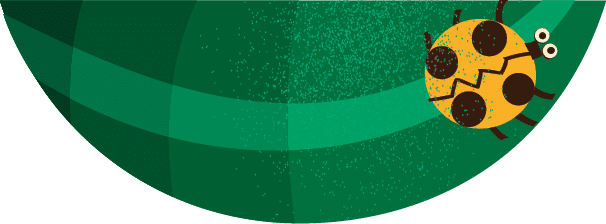 Rectangle