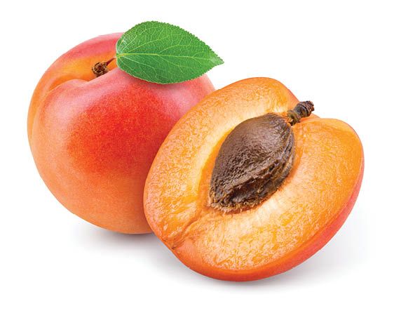 Apricots. Apricot isolate. Apricots with slice on white. Full depth of field. 
