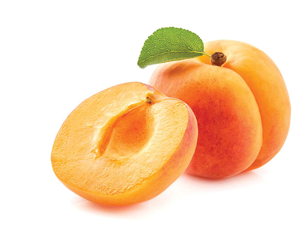 Apricot with slice on white