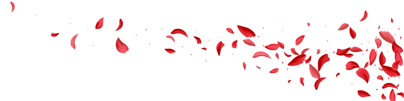Pink Lotus Flying Vector White Panoramic Background. Falling Petal Banner. Delicate Cherry Spring Template. Red Flower Japanese Frame.
