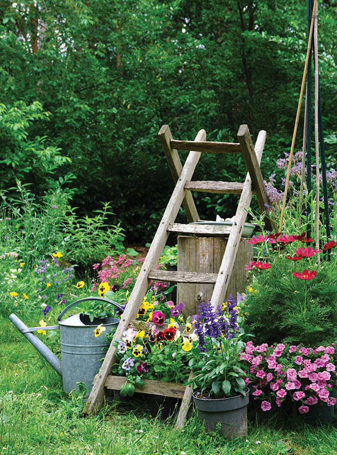 Wild herb and field flowers with iron watering can. English cottage style gardening picture. Gardening concept of a rural garden. good for insects like bees en butterflies with wooden natural ladder 