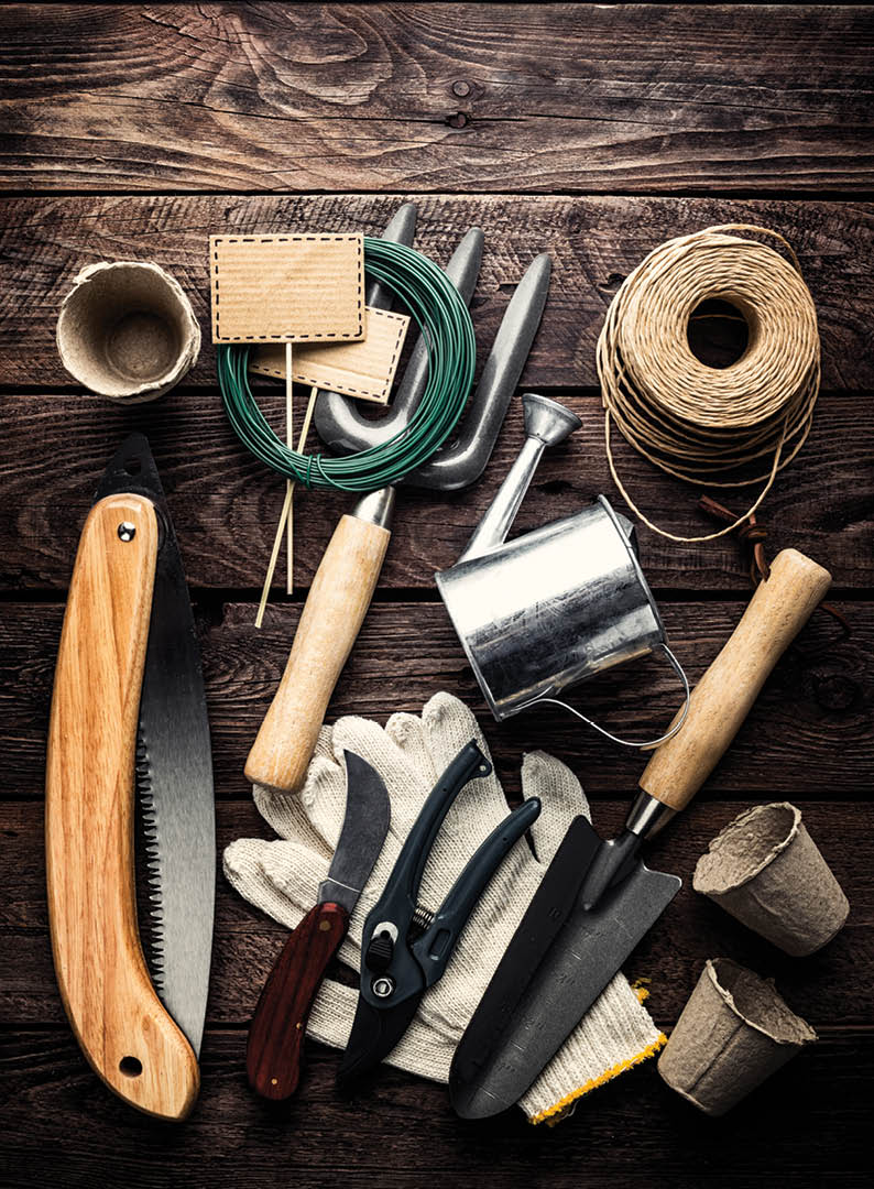 gardening tools on dark wooden background with space for text top view