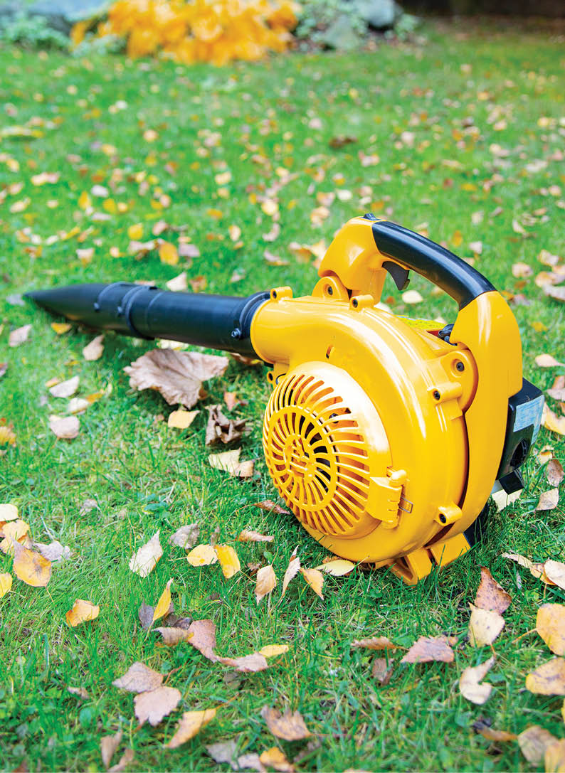 An orange cordless, electric leaf blower in a garden. Autumn, fall gardening works in a backyard, on a lawn, grass. Garden works. 