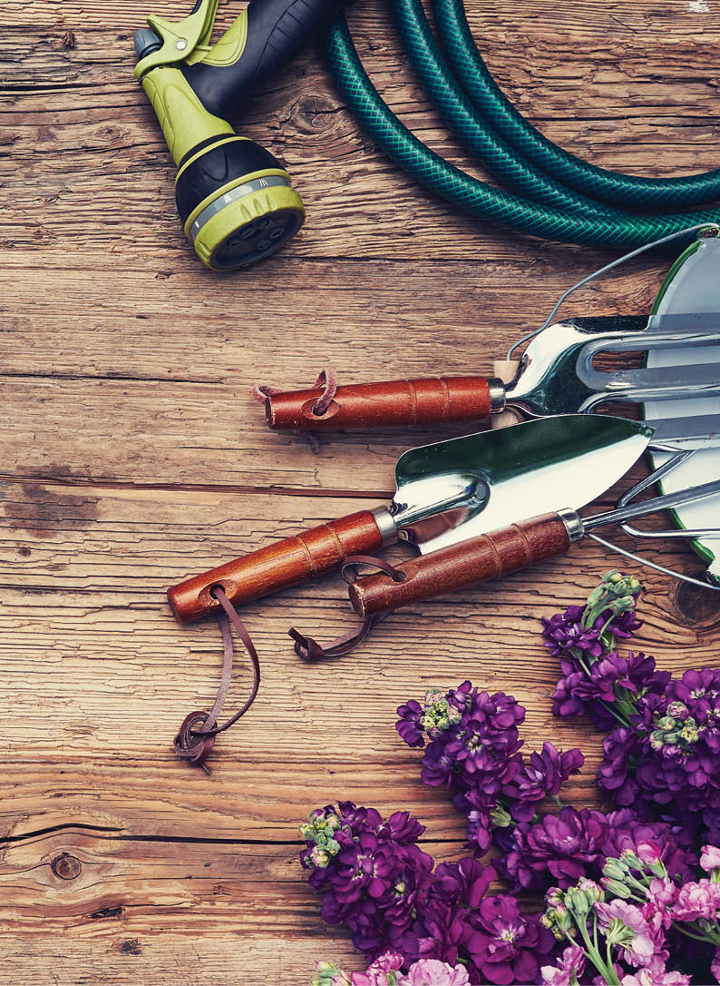 top view of gardening tools lying on the terrace