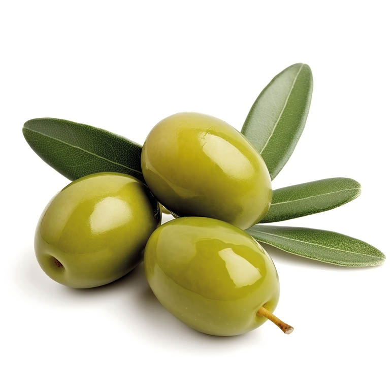 olive with leaf isolated white background
