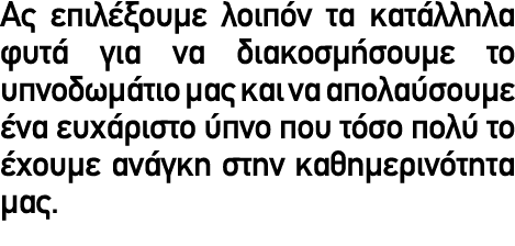 Ας επιλέξουμε λοιπόν τα κατάλληλα φυτά για να διακοσμήσουμε το υπνοδωμάτιο μας και να απολαύσουμε ένα ευχάριστο ύπνο ...