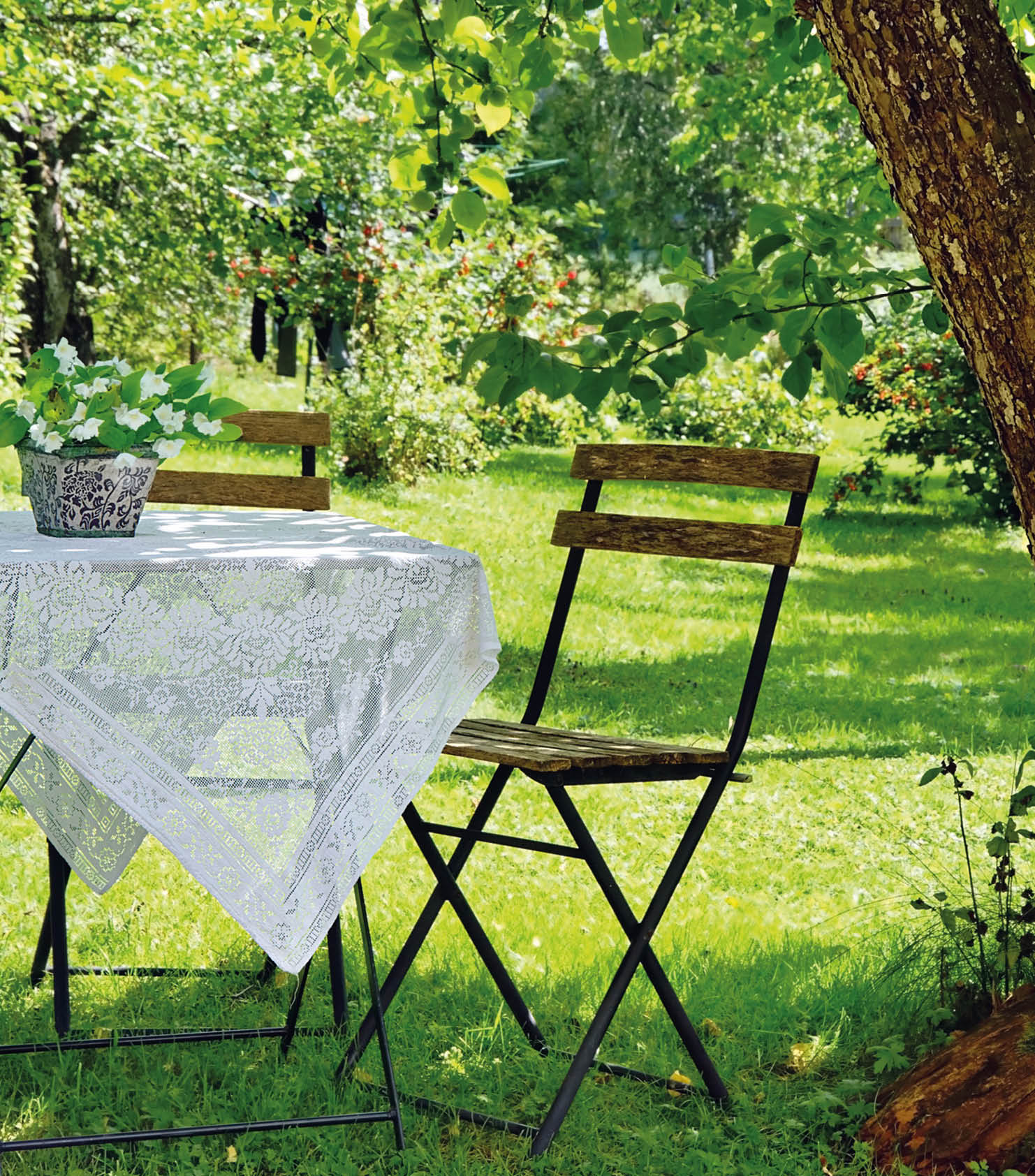 Idyllic setting of a small coffee table and a wooden chair under an apple tree in green summer garden