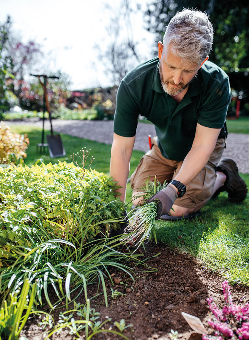 Gardener is working in beautiful English garden.