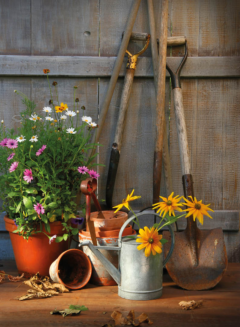 Garden shed with tools and flower pots