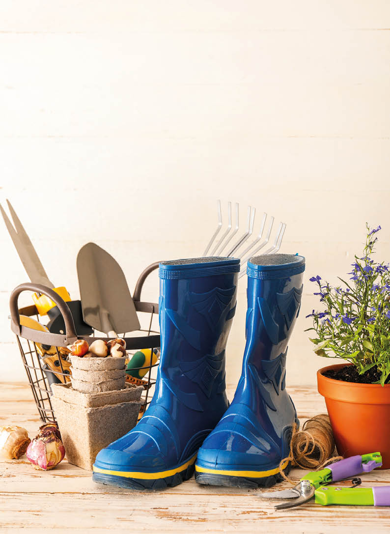 Gardening tools with gumboots and pot flower on light background