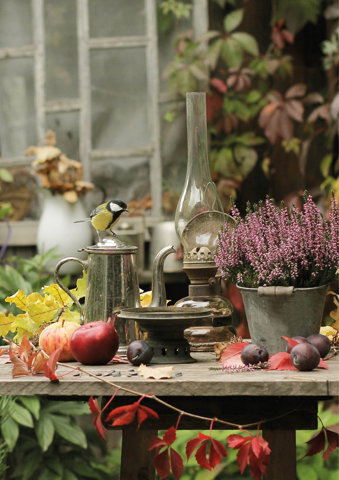 Titmouse,flowers and fruit on table in autumn garden