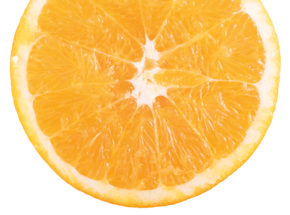 Slice of fresh orange isolated on white background.