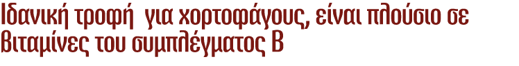 Ιδανική τροφή για χορτοφάγους, είναι πλούσιο σε βιταμίνες του συμπλέγματος Β