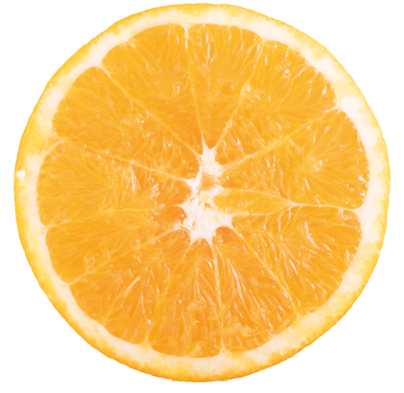 Slice of fresh orange isolated on white background.