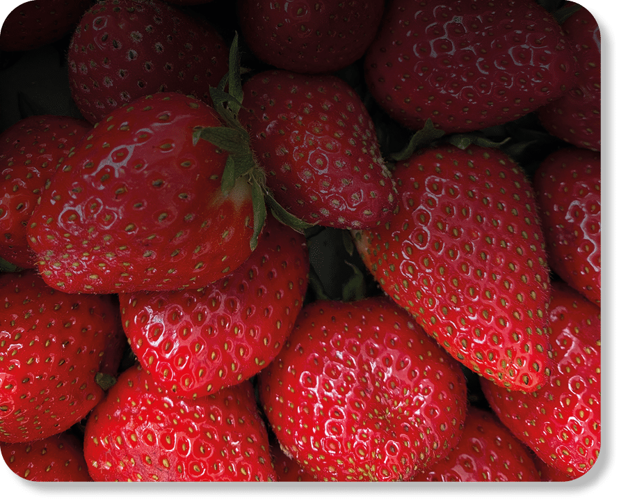 A vertical closeup shot of vibrant red juicy fresh strawberries background