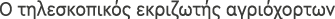 Polygon