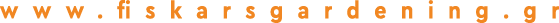 Polygon