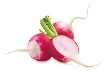 Radish isolated. Fresh radish and half a radish on a white background.