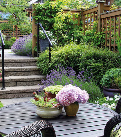 Small townhouse perennial summer garden. Also available in vertical. 