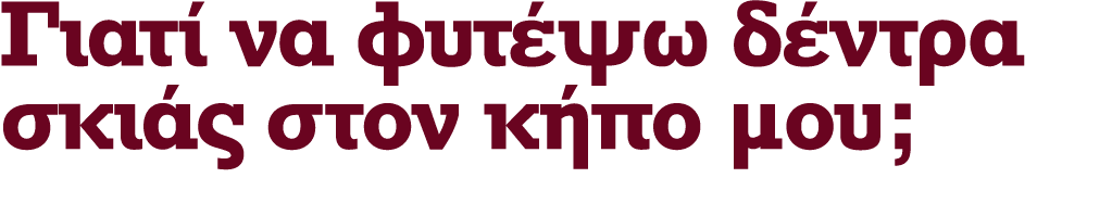 Γιατί να φυτέψω δέντρα σκιάς στον κήπο μου;
