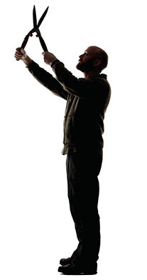 Silhouette of a man using garden clippers 